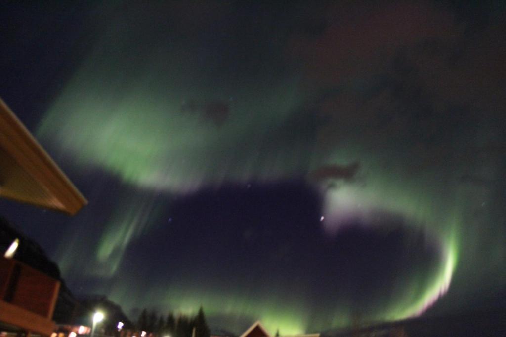 Hotel Austur Reydarfjordur Esterno foto